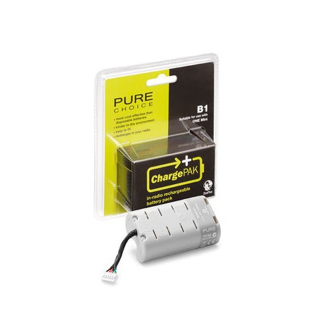 pure-chargepak-b1